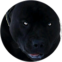Joshua E. profile picture
